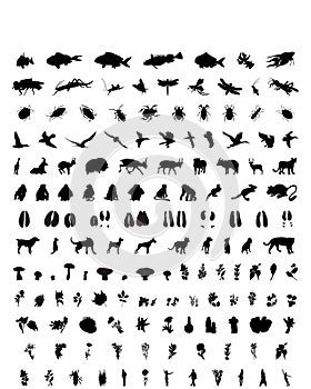 Vector silhouettes set. Set # 1