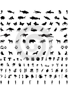Vector silhouettes set. Set # 10
