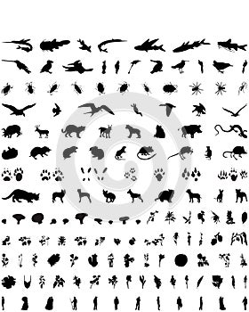 Vector silhouettes set. Set # 3