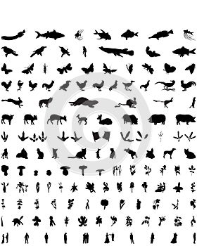 Vector silhouettes set. Set # 8