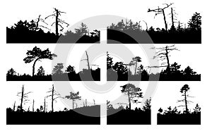 Vector silhouettes tree