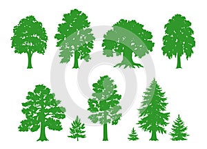 Vector silhouettes of trees