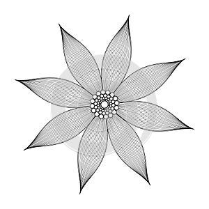 Vector simple contouring flower. Linear drawing. Tattoo