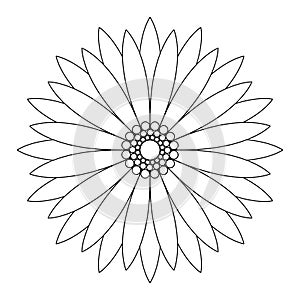 Vector simple contouring flower. Linear drawing. Tattoo
