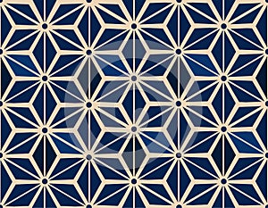 A vector simple grid bicolor pattern photo