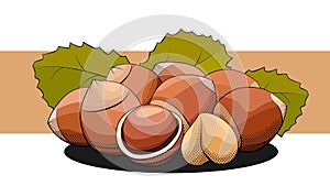 Vector simple illustration of a group of hazelnuts on a label.
