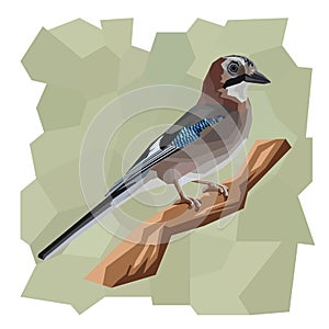 Vector simple illustration of jay bird.