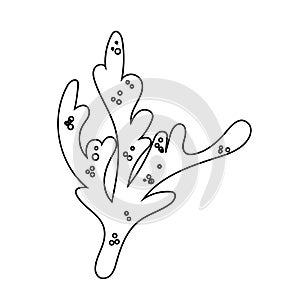 Vector simple single line coral. Bright sea element isolated on white. Beautiful underwater flora and fauna stickers. Hand drawn