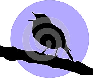 Vector singing robin redbreast