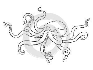 Vector Single Black Outline Illustration - Octopus. Wild Underwater Animal.