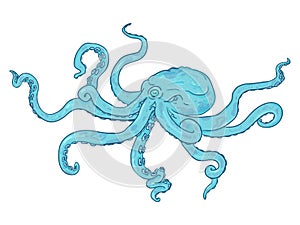 Vector Single Cartoon Illustration - Turquoise Octopus. Wild Underwater Animal.