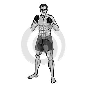 Vector Single Cartoon MMA Fighter