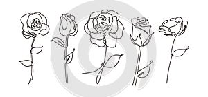 vector single one line drawn set of flowers. Rose flower drawing outline illustration isolated on white background. Botanical