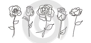 vector single one line drawn set of flowers. Rose flower drawing outline illustration isolated on white background. Botanical photo