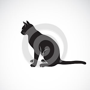 Vector of sitting cat on a white background. Pet. Animals. Cats logo or icon. Easy editable layered vector illustration