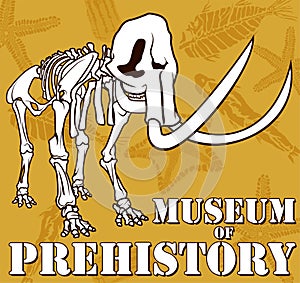 Vector skeleton of mammoth on paleontology background museum of prehistory