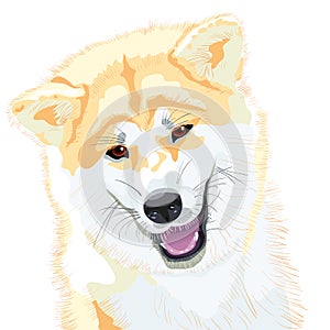 Vector Sketch Akita Inu Japanese Dog smiles