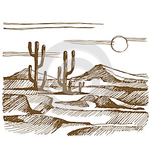 Vector sketch America landscape with cactus