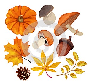 Vector sketch autumn forest symbol set