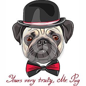 Vector sketch cute dog pug breed