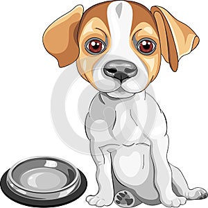 vector Sketch dog Jack Russell Terrier breed