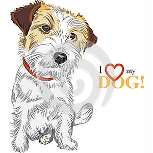 Vector sketch dog Jack Russell Terrier breed photo