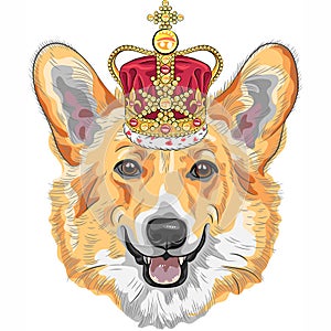 Vector sketch dog Pembroke Welsh corgi smiling in gold crown