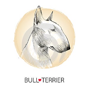 Vector sketch of English Bull terrier dog head profile on white background with beige round frame