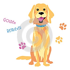 Vector sketch funny Golden Retriever dog sitting