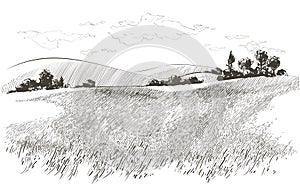 Vector sketch Green grass field on small hills. Meadow, alkali, lye, grassland, pommel, lea, pasturage, farm. Rural