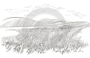 Vector sketch Green grass field on small hills. Meadow, alkali, lye, grassland, pommel, lea, pasturage, farm. Rural