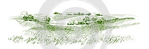 Vector sketch Green grass field on small hills. Meadow, alkali, lye, grassland, pommel, lea, pasturage, farm. Rural