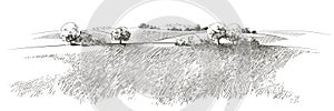 Vector sketch Green grass field on small hills. Meadow, alkali, lye, grassland, pommel, lea, pasturage, farm. Rural scenery