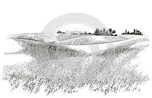 Vector sketch Green grass field on small hills. Meadow, alkali, lye, grassland, pommel, lea, pasturage, farm. Rural