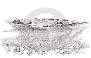 Vector sketch Green grass field on small hills. Meadow, alkali, lye, grassland, pommel, lea, pasturage, farm. Rural photo