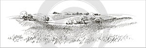 Vector sketch Green grass field on small hills. Meadow, alkali, lye, grassland, pommel, lea, pasturage, farm. Rural photo