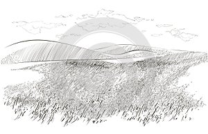 Vector sketch Green grass field on small hills. Meadow, alkali, lye, grassland, pommel, lea, pasturage, farm. Rural photo
