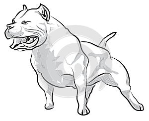 Vector sketch hand drawing pitbull barking