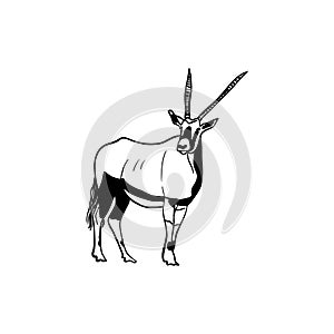 Vector sketch hand drawn mountain goat silhouette, doodle art with black lines