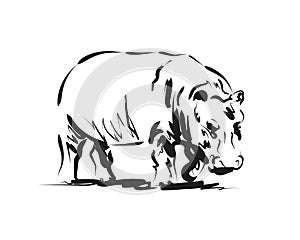 Vector sketch of a hippopotamus