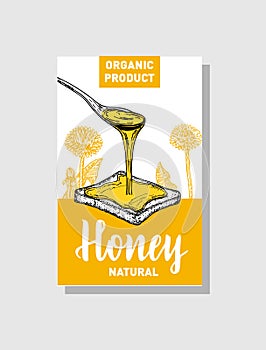 Vector sketch honey poster. Hand drawn vintage style Illustrations. Card design template. Retro background.