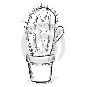 Vector sketch illustration - cactus in a pot