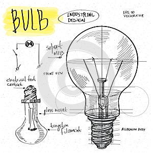 Vector sketch illustration - light bulb