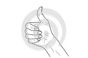 Vector sketch illustration - women`s hand.