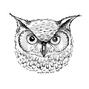 Vector sketch of owl head by ballpoint pen photo