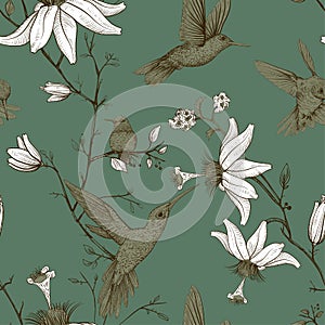 Vector sketch pattern with birds and flowers. Monochrome flower design for web, wrapping paper, phone cover, textile