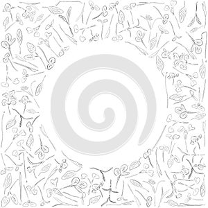 Vector sketch round frame with microgreen. Herbs - pea, sunflower, onion, corn, basil, china rose, spinach, fennel