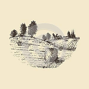 Vector sketch of rural landscape with mowed field.