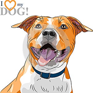 Vector sketch smiling dog American Staffordshire T