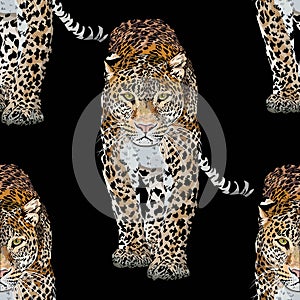 Vector sketch of walks leopard.Seamless leo pattern.Animal print.Wildlife. photo